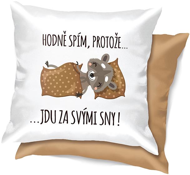 Nekupto Vtipný polštář Hodně spím, protože jdu za svými sny!